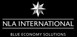 NLA International Logo